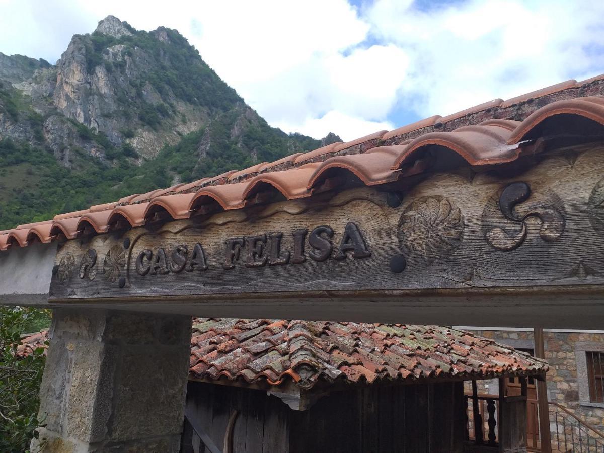 Ferienwohnung Casa Felisa Pola de Somiedo Exterior foto